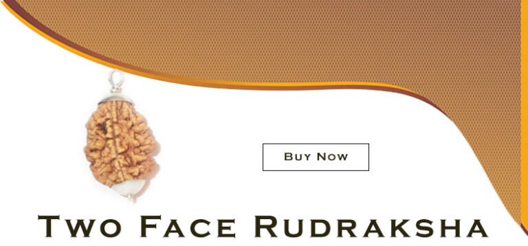 two face rudraksh